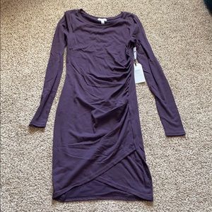 Purple longsleeve dress size Small NWT